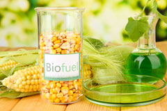 Ayr biofuel availability